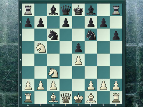 teoria plantilla imagen destacada La variante Haberditz en la Sveshnikov