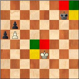 Oposición rectangular 9 colores