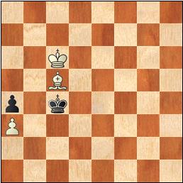 El pastor, el perro y la cerca 5 bloqueo