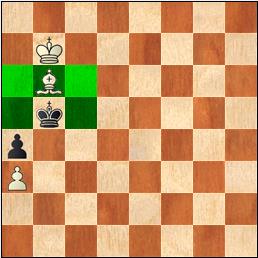 El pastor, el perro y la cerca 4 cerca