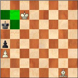 El pastor, el perro y la cerca 3 perro