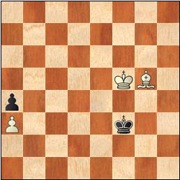 El pastor, el perro y la cerca 8 problema