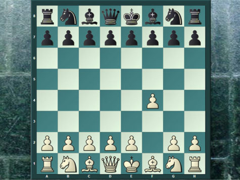 teoria plantilla imagen destacada Sorprendiendo a los pajaritos