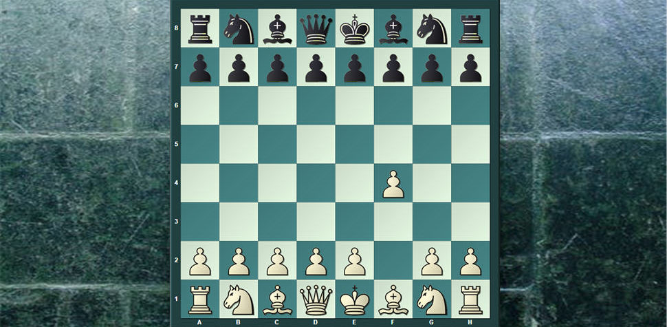 teoria plantilla imagen destacada Sorprendiendo a los pajaritos